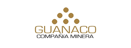 11-guanaco